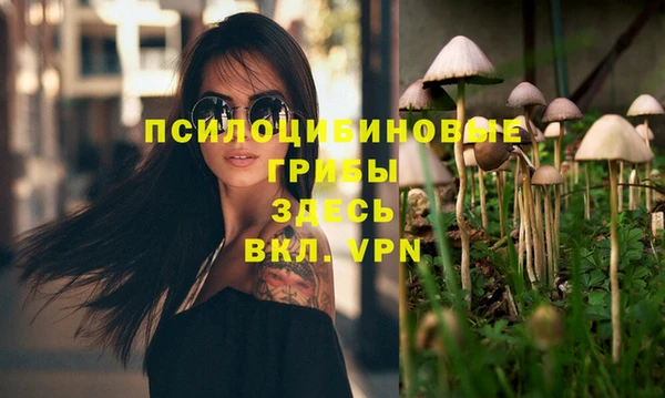 apvp Алексеевка