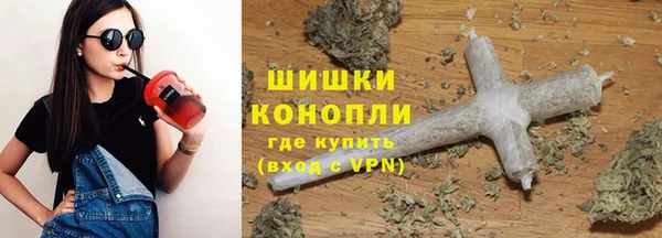 Альфа ПВП Дубна