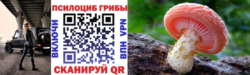 купить закладку  Алексеевка  блэк спрут как зайти  Галлюциногенные грибы прущие грибы 