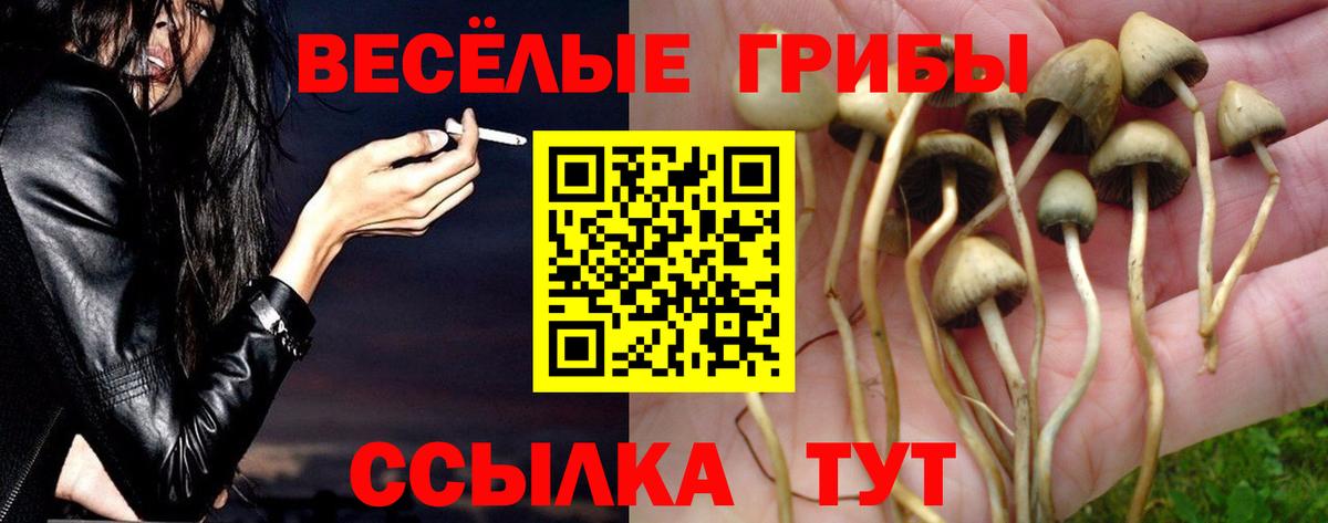 Галлюциногенные грибы мухоморы  Вход с VPN  Псилоцибиновые грибы ЛСД  Алексеевка 