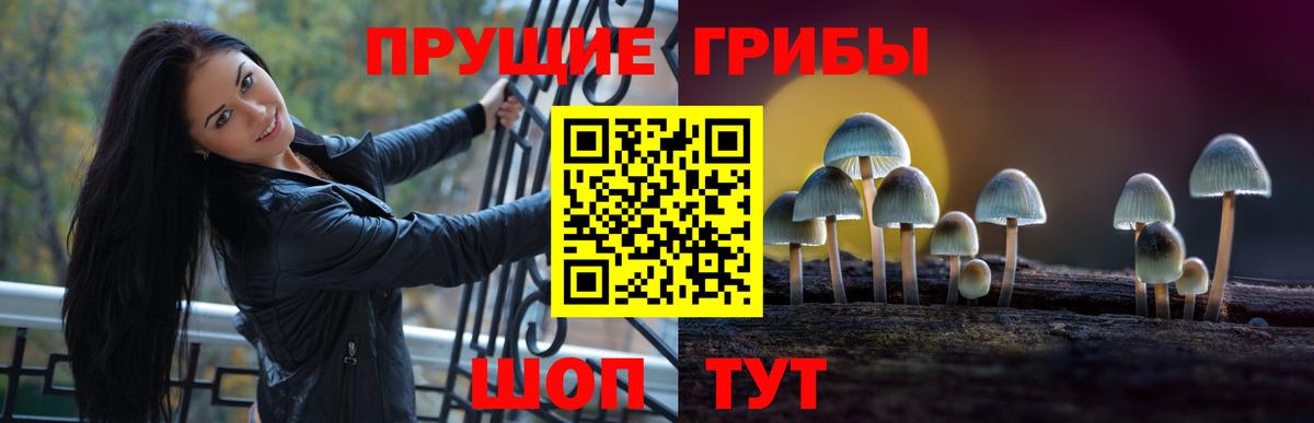 Псилоцибиновые грибы мухоморы Алексеевка