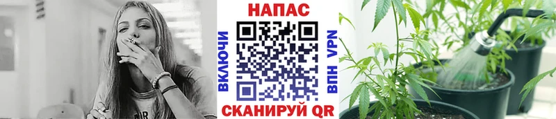 Канабис планчик  Алексеевка 
